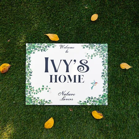 Ivy's Apartment *
