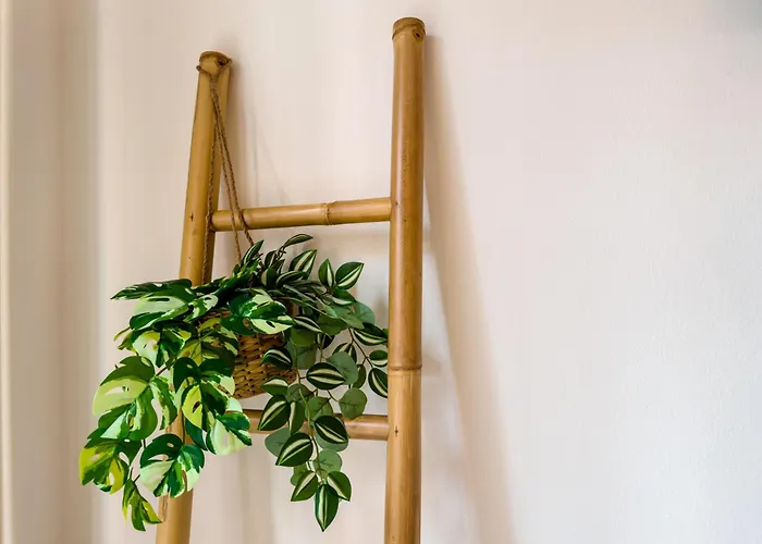 Ivy's * رافيننا